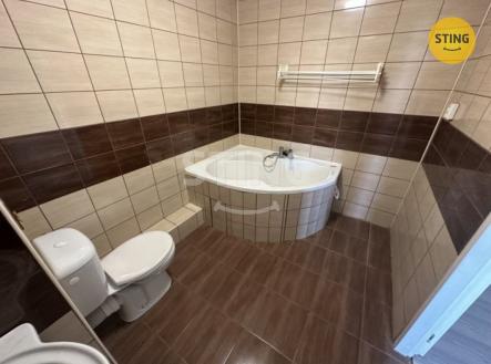 stahování (2).jpeg | Pronájem bytu, 1+1, 42 m²