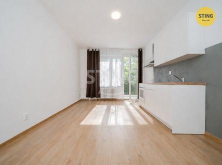 francouzska balkon 2.jpeg | Pronájem bytu, 1+kk, 24 m²