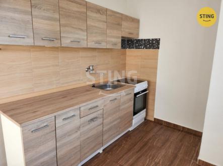 stažený soubor (3).jpg | Pronájem bytu, 2+1, 48 m²