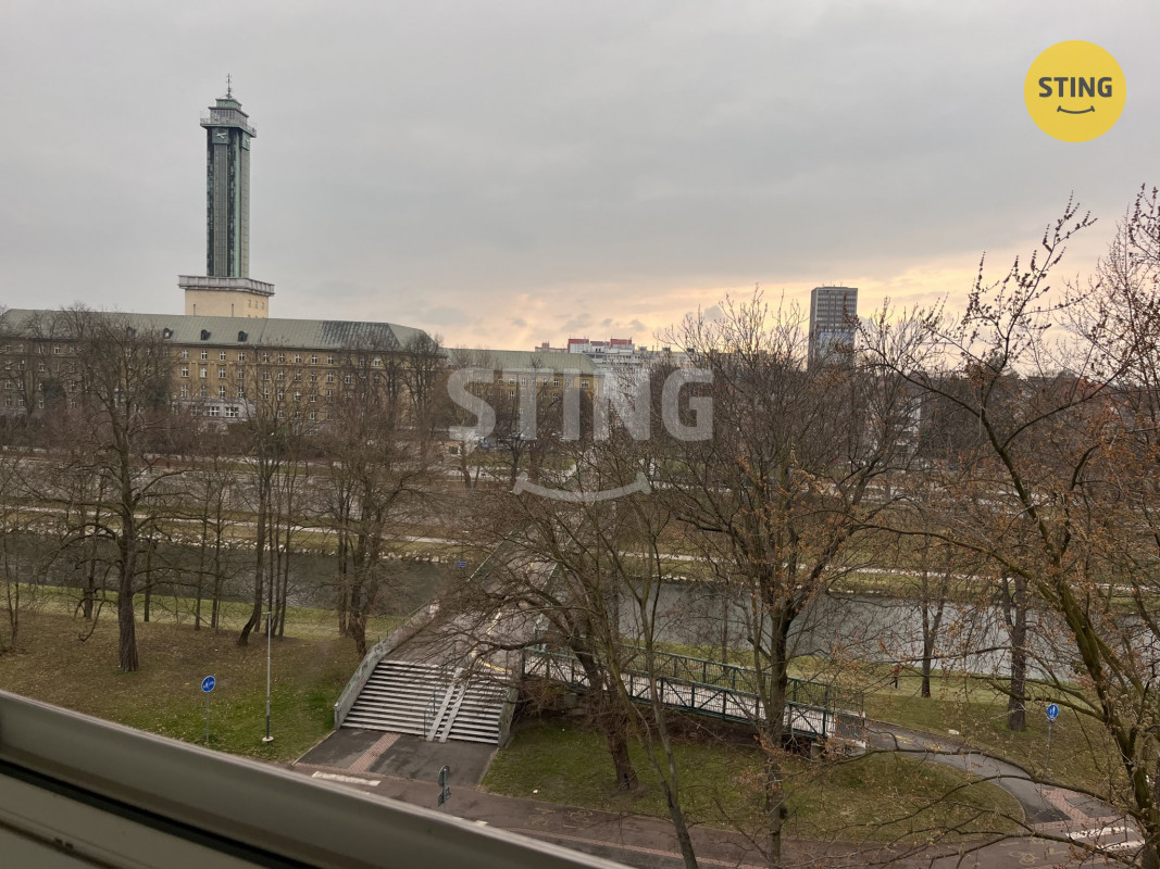 IMG_6502.jpeg