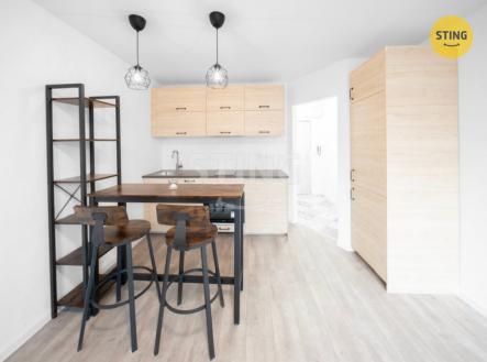 IMG_7566.JPG | Pronájem bytu, garsoniéra, 24 m²