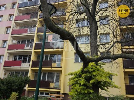 20260415_092340.jpg | Pronájem bytu, 1+1, 38 m²