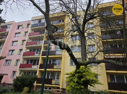 20260415_092344.jpg | Pronájem bytu, 1+1, 38 m²