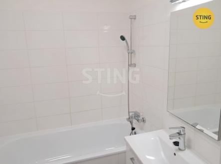 WhatsApp Image 2025-10-05 at 20.47.17.jpeg | Pronájem bytu, 1+1, 45 m²