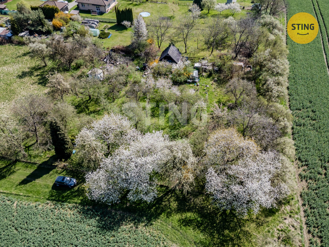 DJI_0220.jpg