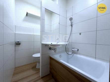IMG_6617.JPG | Pronájem bytu, 1+1, 39 m²