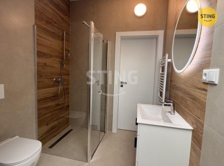 IMG_8965.jpeg | Pronájem bytu, 3+kk, 80 m²