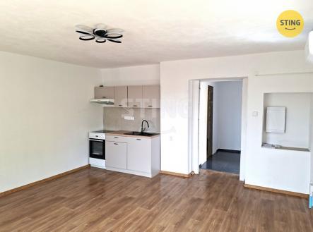 pokoj1.jpg | Pronájem bytu, 1+kk, 33 m²
