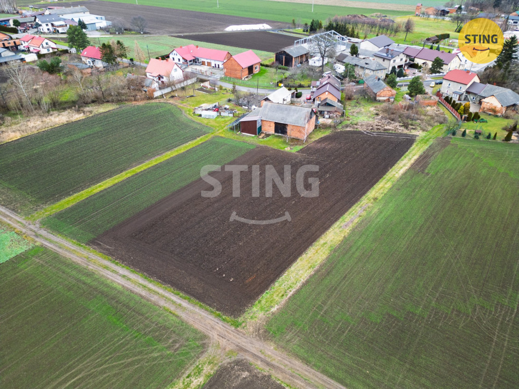 DJI_0884.jpg