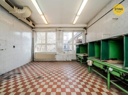 DSC04792.jpg | Pronájem - jiné, 230 m²