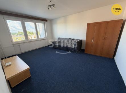 IMG_4446.jpeg | Pronájem bytu, 1+1, 45 m²