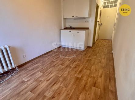 Pronájem bytu, 1+kk, 14 m² obrázek