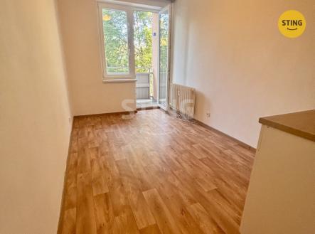 IMG_5829.jpeg | Pronájem bytu, 1+kk, 14 m²