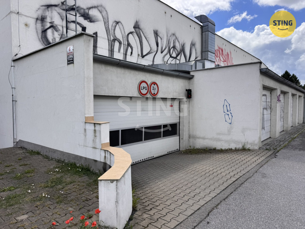 IMG_2926.JPEG
