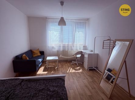 IMG_1016.JPG | Pronájem bytu, 1+1, 36 m²