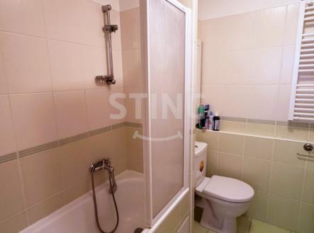 IMG_1022.JPG | Pronájem bytu, 1+1, 36 m²