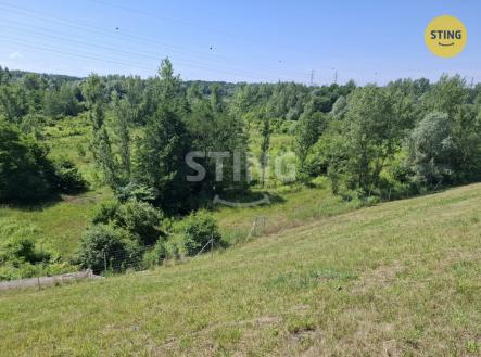c7716aa9-0e0e-4cbc-a2b5-74d174028883.jpeg | Pronájem - pozemek, trvalý travní porost, 29 433 m²