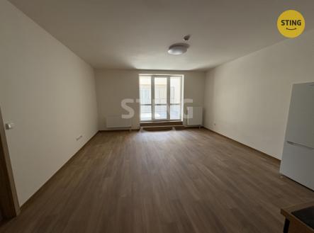 IMG_9118.jpeg | Pronájem bytu, 2+kk, 95 m²