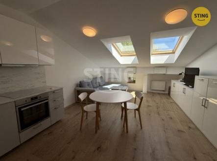 IMG_0835.jpeg | Pronájem bytu, 2+kk, 57 m²