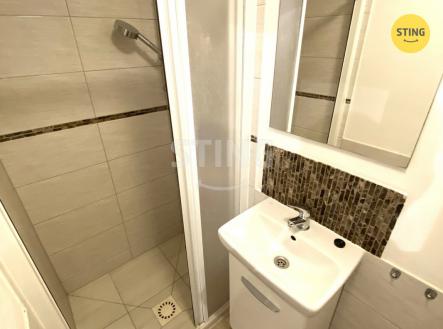IMG_6168.JPG | Prodej bytu, 1+1, 22 m²