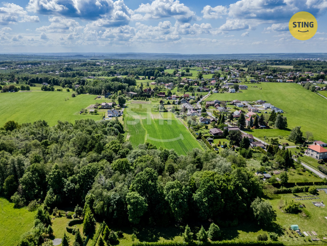 DJI_0321.jpg