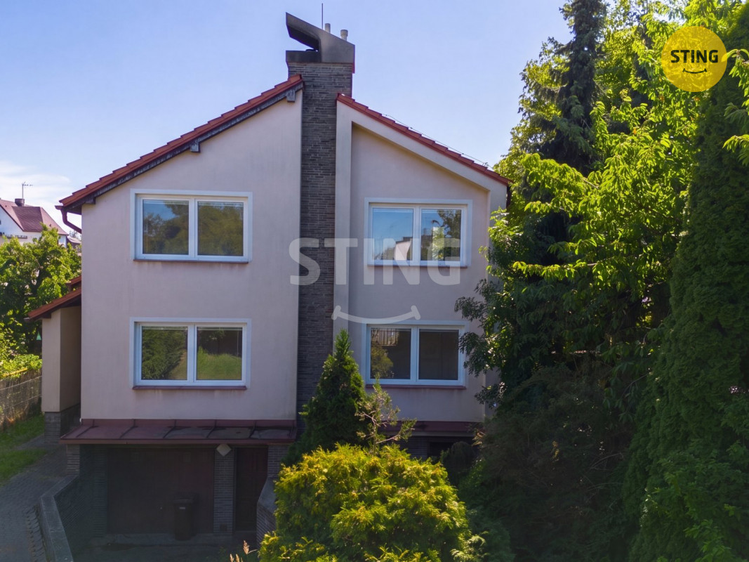 4b.jpg