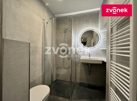 2 | Pronájem bytu, 2+kk, 47 m²