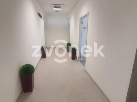 3 | Pronájem - kanceláře, 59 m²