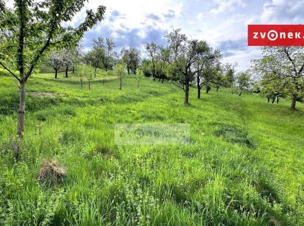 2 | Prodej - pozemek, zahrada, 852 m²