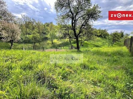 3 | Prodej - pozemek, zahrada, 852 m²