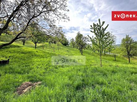 4 | Prodej - pozemek, zahrada, 852 m²