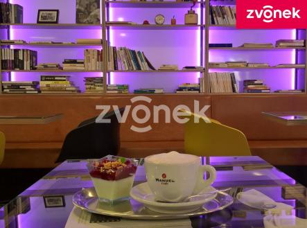 12 | Pronájem - komerční objekt, jiný, 318 m²