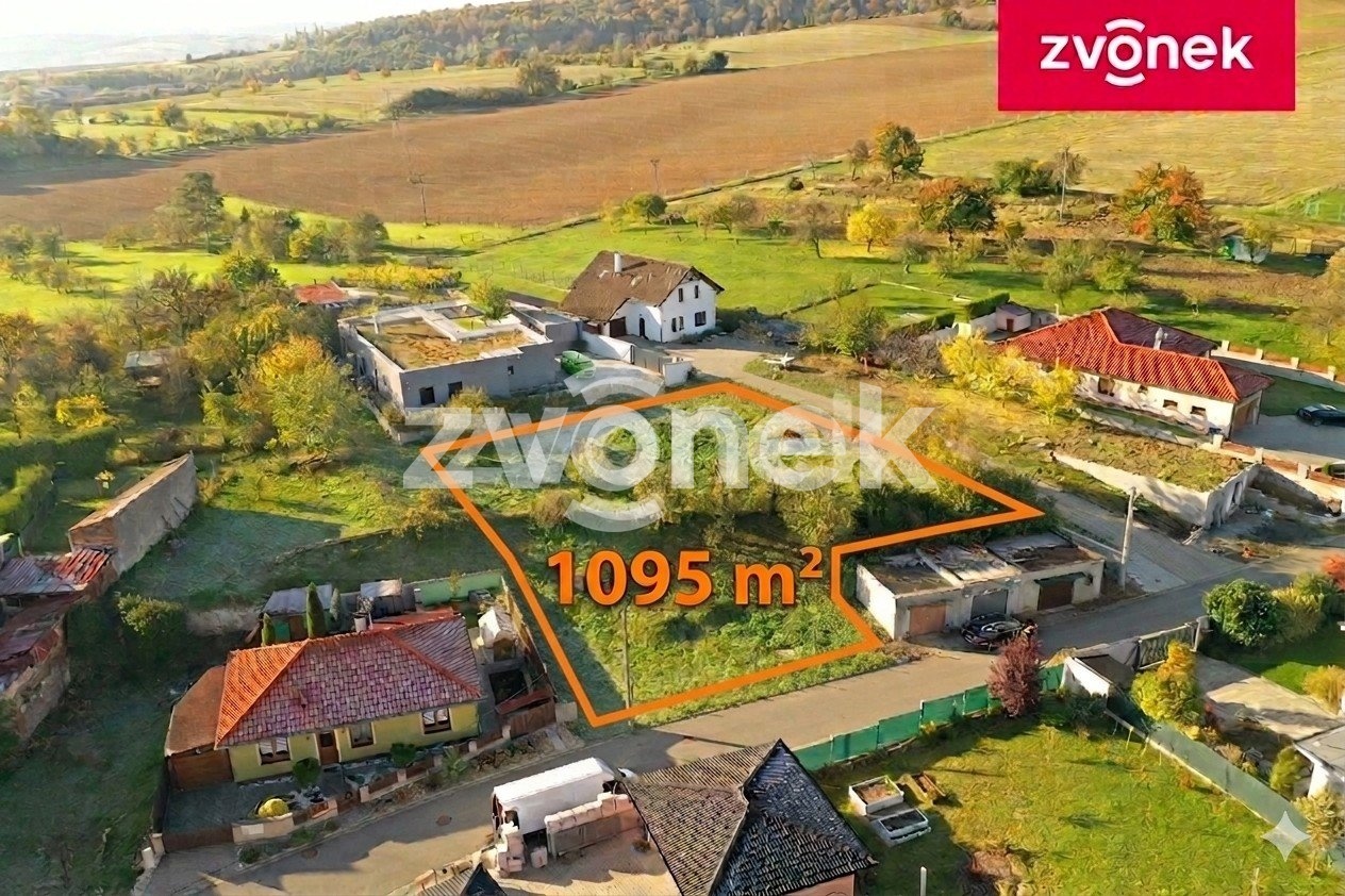 foto1b