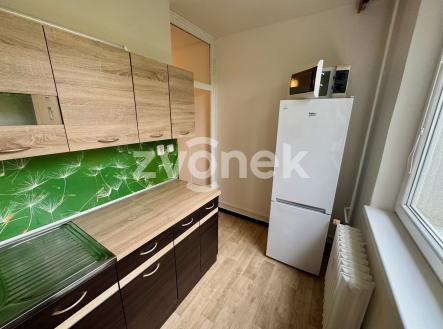 IMG_5195 | Pronájem bytu, 1+1, 39 m²