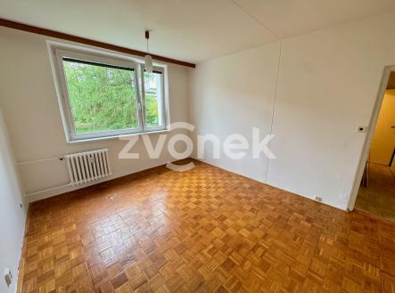 IMG_5203 | Pronájem bytu, 1+1, 39 m²