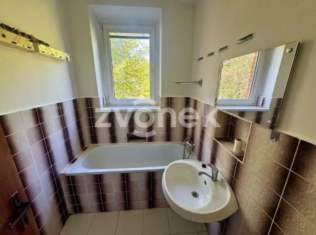 IMG_5352 | Prodej bytu, 3+1, 66 m²