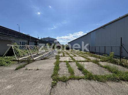 IMG_5532 | Pronájem - pozemek, ostatní, 1 175 m²