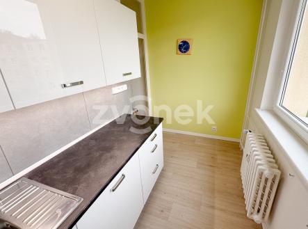 IMG_5712 | Pronájem bytu, 1+1, 39 m²
