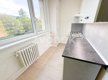 IMG_5708 | Pronájem bytu, 1+1, 39 m²