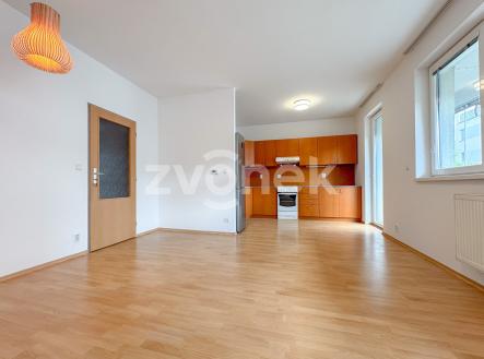 IMG_7471 | Pronájem bytu, 1+kk, 54 m²