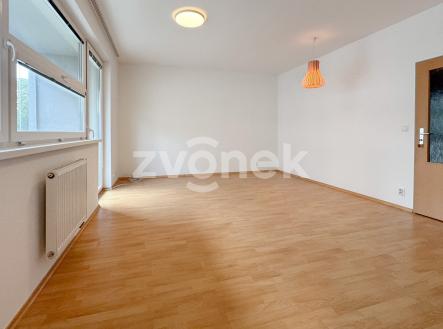 IMG_7468 | Pronájem bytu, 1+kk, 54 m²
