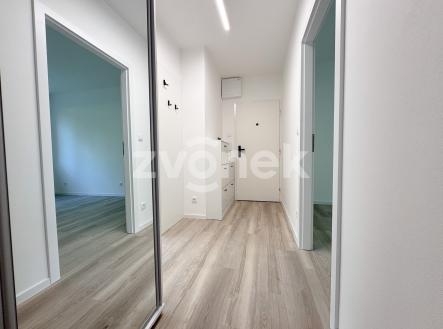 IMG_7439 | Pronájem bytu, 3+1, 66 m²