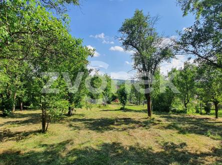 20260617_155712 | Prodej - dům/vila, 300 m²