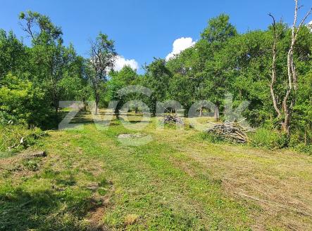 20260617_155536 | Prodej - dům/vila, 300 m²