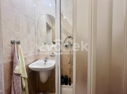 IMG_7634 | Pronájem bytu, 2+1, 45 m²