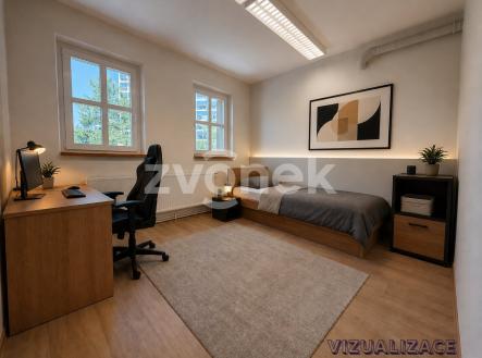 vizualizace | Pronájem bytu, 1+kk, 10 m²