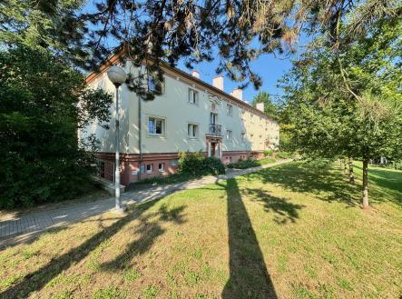 IMG_5962 | Pronájem bytu, 2+kk, 63 m²