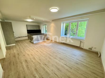 IMG_5932 | Pronájem bytu, 2+kk, 63 m²