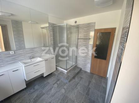 IMG_9539 | Pronájem bytu, 2+kk, 85 m²