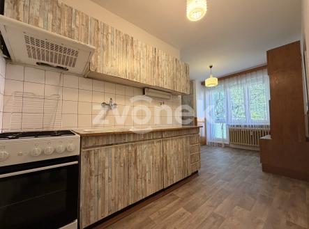 IMG_5159 | Prodej bytu, 3+1, 95 m²